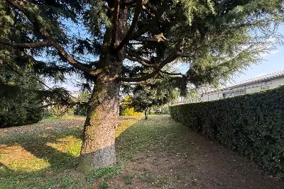 Edificabile Residenziali in vendita, Via Pinerolo, Cantù