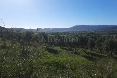 Agricolo in vendita, Località Caria Girifalco, Girifalco
