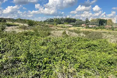 Edificabile Residenziali in vendita, Via Trotula de Ruggiero, Roma