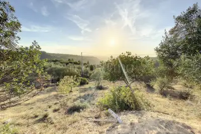 Agricolo in vendita, Strada Vicinale Logulentu Badde Tolta, Sassari