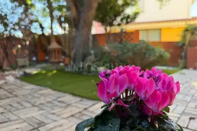 Villino a Schiera in vendita, Via dei Pini, Olbia