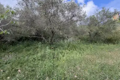 Agricolo in vendita, Via San Cosimo, Messina