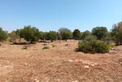 Casa Indipendente in vendita, Contrada Grottone, Ostuni