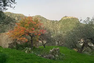 Casale in vendita, Contrada Mastrissa, Taormina