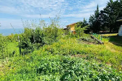 Agricolo in vendita, Via delle foreste, Manocalzati, Manocalzati