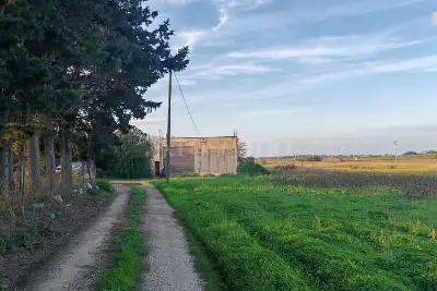 Capannone in vendita, SS16, Brindisi