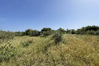 Agricolo in vendita, Piano Torre Spartà, Messina