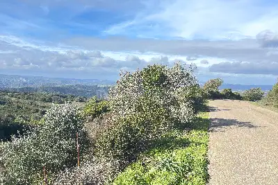 Agricolo in vendita, SANT'ANTONIO DI GALLURA , Sant'Antonio di Gallura