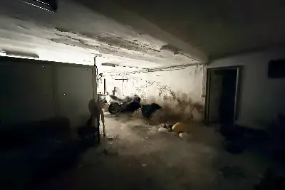 Magazzino in vendita, Via delle Primule, Nettuno