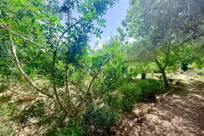 Casa Indipendente in vendita, Via Maenza, Nettuno