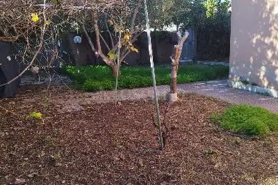 Villa Bifamiliare in vendita, Via Giuseppe Zais, Roma