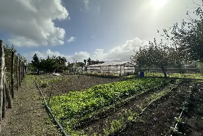 Casa Indipendente in vendita, Via Capone, Scafati