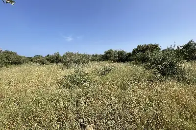 Agricolo in vendita, Piano Torre Spartà, Messina