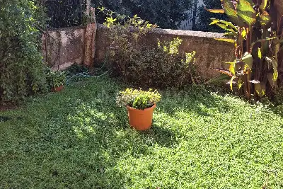 Casa in vendita, Arenzano via della Pineta 45 , Arenzano