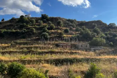 Agricolo in vendita, Via Provinciale per Armo-Gallina, Reggio di Calabria