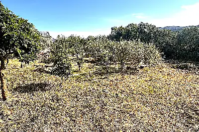 Edificabile Residenziali in vendita, Trudda via Angona, Loiri Porto San Paolo