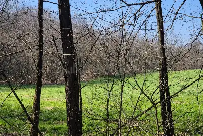 Agricolo in vendita, Via Sant'Agostino, Mariano Comense