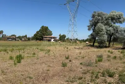 Agricolo in vendita, Strada Statale 148, Latina