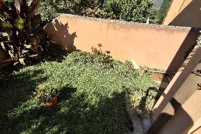 Casa in vendita, Arenzano via della Pineta 45 , Arenzano