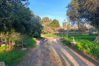 Capannone in vendita, SS16, Brindisi