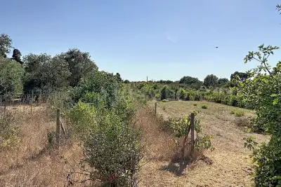 Casa Indipendente in vendita, Strada Vicinale Giagumona, Sassari