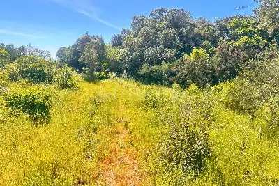 Agricolo in vendita, Telti via Monti Longu., Telti