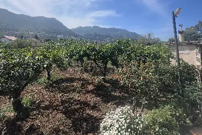 Villa Plurifamiliare in vendita, Via Aquino, Palermo