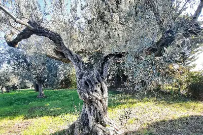 Villa in vendita, Via Pratelle Castellana, Pianella, Pianella