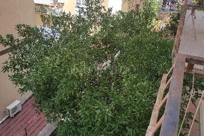 Casa in vendita, Via Camillo Negro, Roma