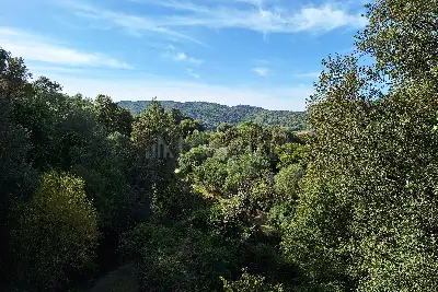 Casale in vendita, Località Zanzari Sant'Antonio di Gallura, Sant'Antonio di Gallura