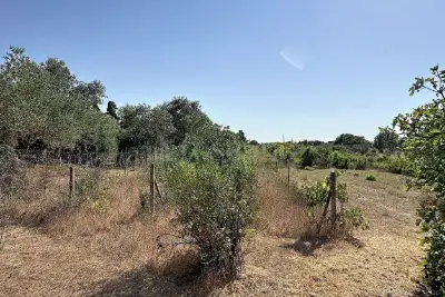 Casa Indipendente in vendita, Strada Vicinale Giagumona, Sassari