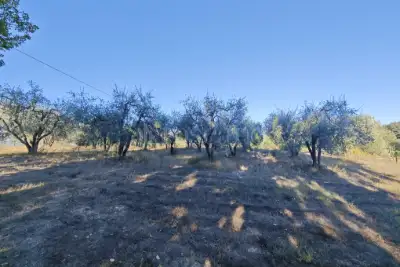 Agricolo in vendita, Loc. Borgatello Il Melograno, Colle di Val d'Elsa