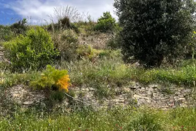 Agricolo in vendita, Motta San Giovanni, Motta San Giovanni