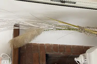 Casa Indipendente in vendita, Lungomare della Salute, Fiumicino