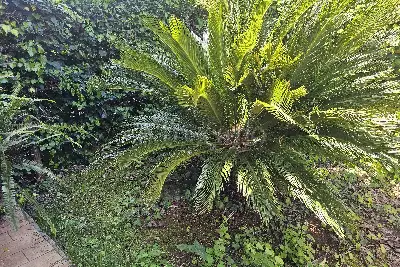 Villa in vendita, Via Pyre, Latina