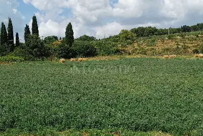 Casa in vendita, località Santa Colomba, Monteriggioni