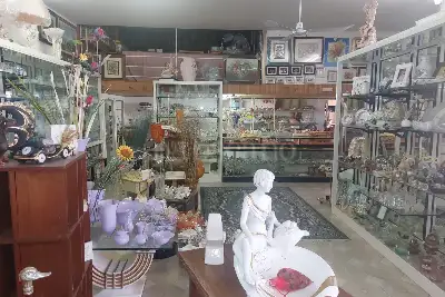 Negozio in affitto, Piscinara destra 24, Latina