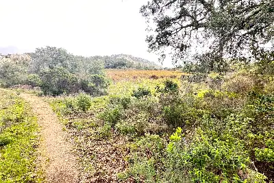 Agricolo in vendita, Loc. Caldosu, Sant'Antonio di Gallura