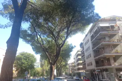 Negozio in affitto, Via Attilio Ambrosini, Roma