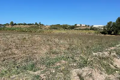 Agricolo in vendita, via delle monachelle vecchia, Pomezia