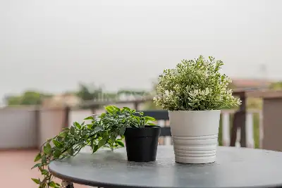 Attico in vendita, Via della Stazione di Ciampino, Roma