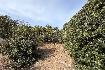 Villa Bifamiliare in vendita, Via Adige, Ardea