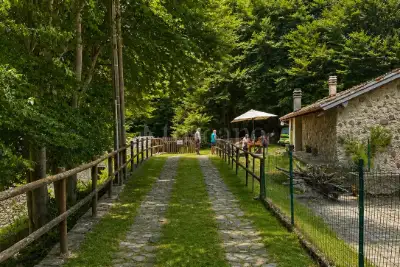 Rustico in vendita, Via per Lago Delio, Tronzano Lago Maggiore