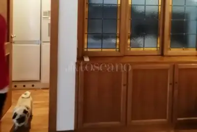 Casa in affitto, Borgo Vittorio, Roma