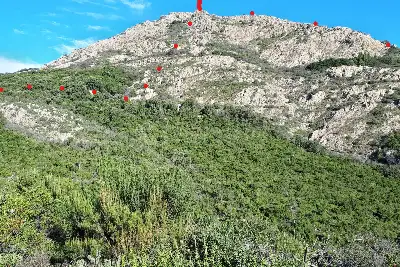 Agricolo in vendita, Berchidda, SP 138, Berchidda