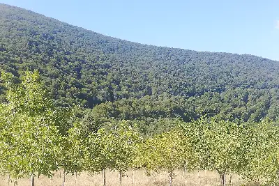 Casa Indipendente in vendita, MALONGA, San Fele