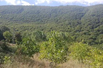 Casa Indipendente in vendita, MALONGA, San Fele