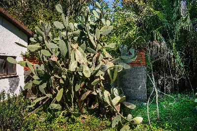 Villa in vendita, Via Catania, Tremestieri Etneo