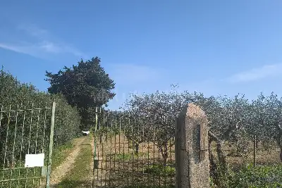 Agricolo in vendita, Via Emanuela, Erice