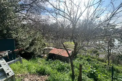 Agricolo in vendita, Via Vinadio, Roma